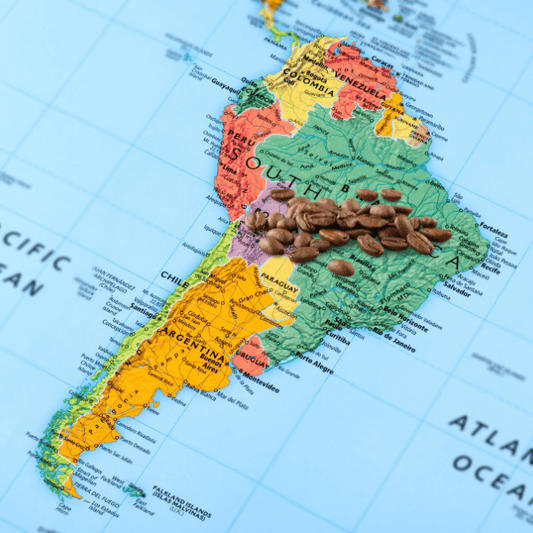 The Rise of Central and South American Coffees: Why They Will Dominate the Future Coffee Scene