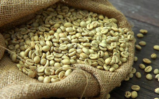 Unlocking the Mystery of Green Coffee: Why Every Bean Tastes Different